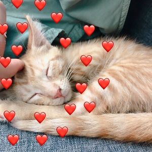 Meet your Posher, Tia